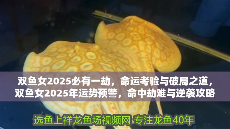 雙魚女2025必有一劫，命運考驗與破局之道，雙魚女2025年運勢預警，命中劫難與逆襲攻略
