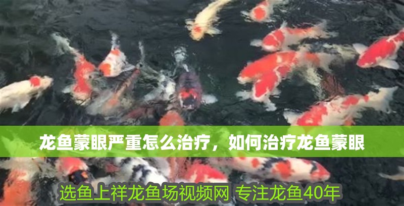 龍魚蒙眼嚴重怎么治療，如何治療龍魚蒙眼