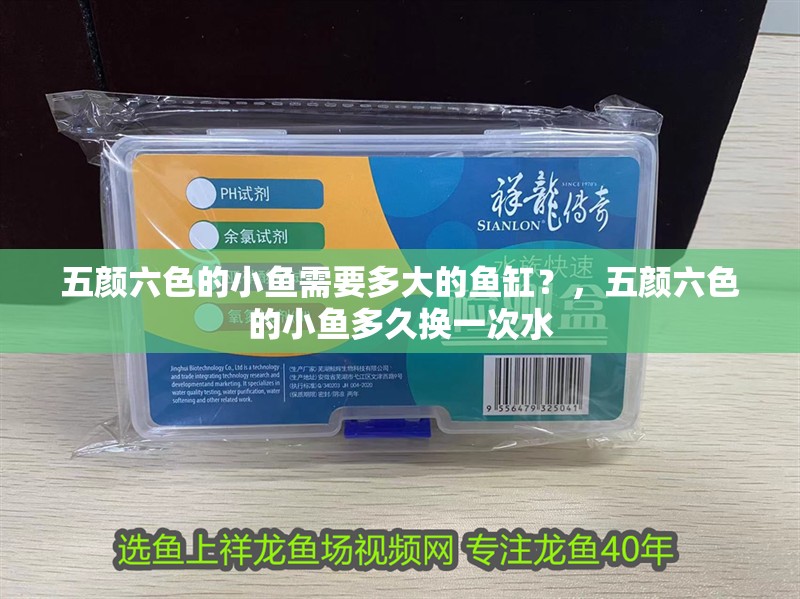 五顏六色的小魚需要多大的魚缸？，五顏六色的小魚多久換一次水