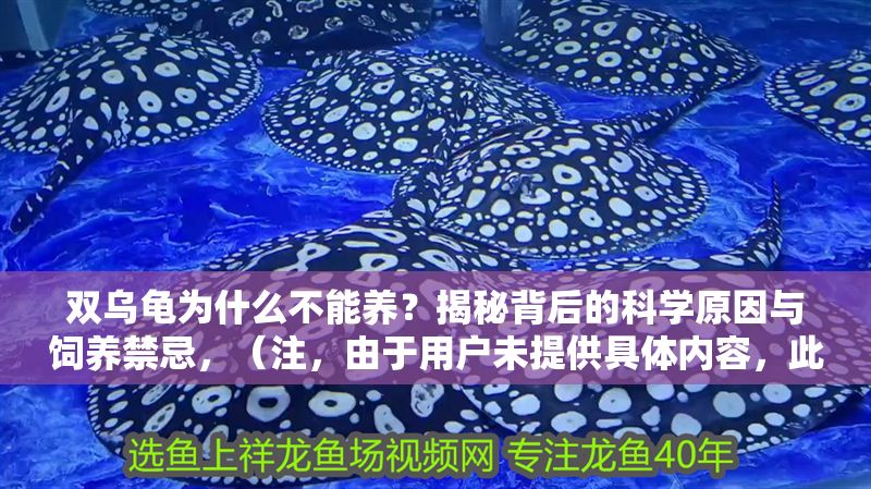 雙烏龜為什么不能養？揭秘背后的科學原因與飼養禁忌，（注，由于用戶未提供具體內容，此標題為根據常見寵物飼養疑問所擬。若需精準標題，請補充相關內容細節。）