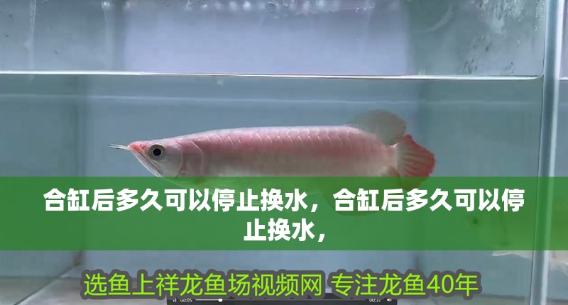 合缸后多久可以停止換水，合缸后多久可以停止換水，