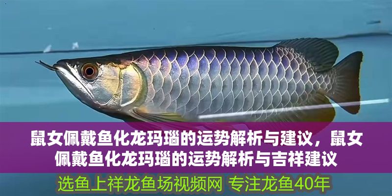 鼠女佩戴魚化龍瑪瑙的運勢解析與建議，鼠女佩戴魚化龍瑪瑙的運勢解析與吉祥建議