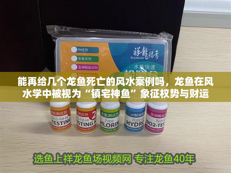 能再給幾個龍魚死亡的風水案例嗎，龍魚在風水學中被視為“鎮宅神魚”象征權勢與財運