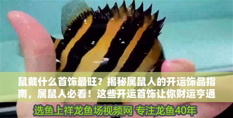 鼠戴什么首飾最旺？揭秘屬鼠人的開運(yùn)飾品指南，屬鼠人必看！這些開運(yùn)首飾讓你財(cái)運(yùn)亨通、福氣滿滿