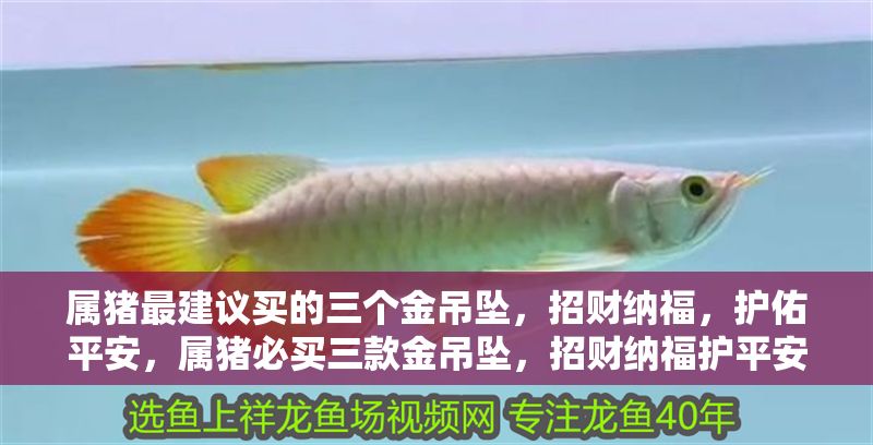 屬豬最建議買的三個金吊墜，招財納福，護佑<strong><mark>平安</mark></strong>，屬豬必買三款金吊墜，招財納福護<strong><mark>平安</mark></strong>