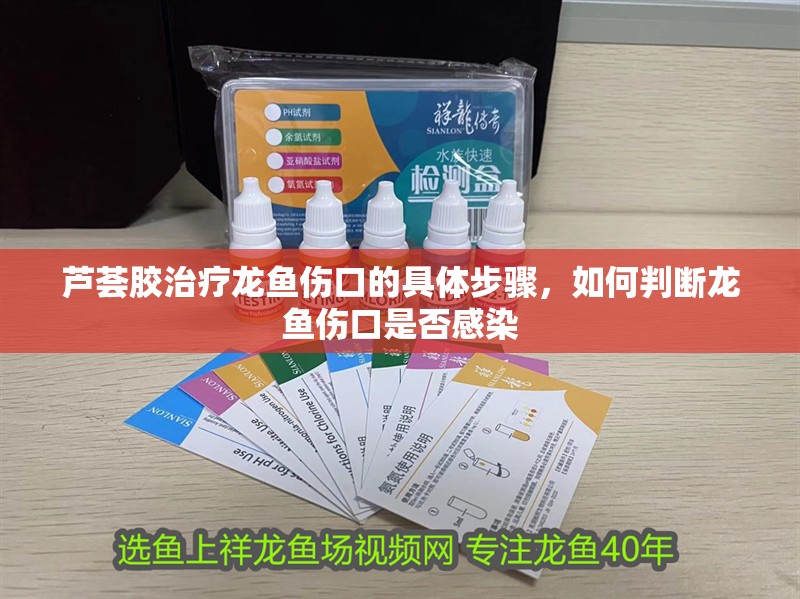 蘆薈膠治療龍魚傷口的具體步驟，如何判斷龍魚傷口是否感染