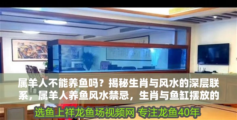 屬羊人不能養(yǎng)魚嗎？揭秘生肖與風(fēng)水的深層聯(lián)系，屬羊人養(yǎng)魚風(fēng)水禁忌，生肖與魚缸擺放的奧秘解析 屬羊人不能養(yǎng)魚嗎？揭秘生肖與風(fēng)水的深層聯(lián)系，屬羊人養(yǎng)魚風(fēng)水禁忌，生肖與魚缸擺放的奧秘解析 龍魚百科 第1張