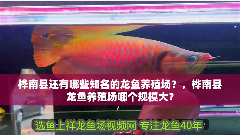 樺南縣還有哪些知名的龍魚養殖場？，樺南縣龍魚養殖場哪個規模大？ 樺南縣還有哪些知名的龍魚養殖場？，樺南縣龍魚養殖場哪個規模大？ 龍魚百科
