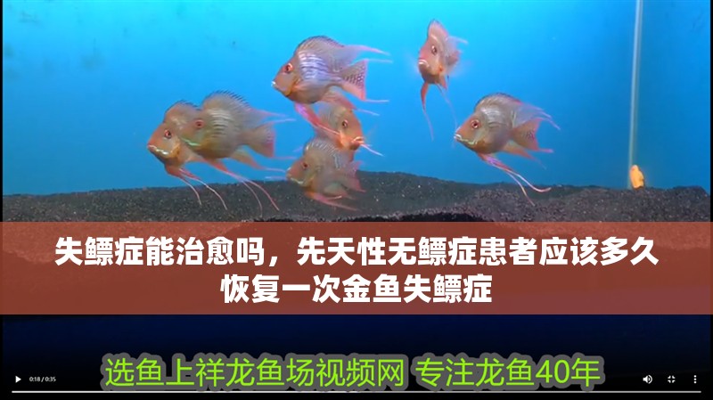 失鰾癥能治愈嗎，先天性無鰾癥患者應該多久恢復一次金魚失鰾癥