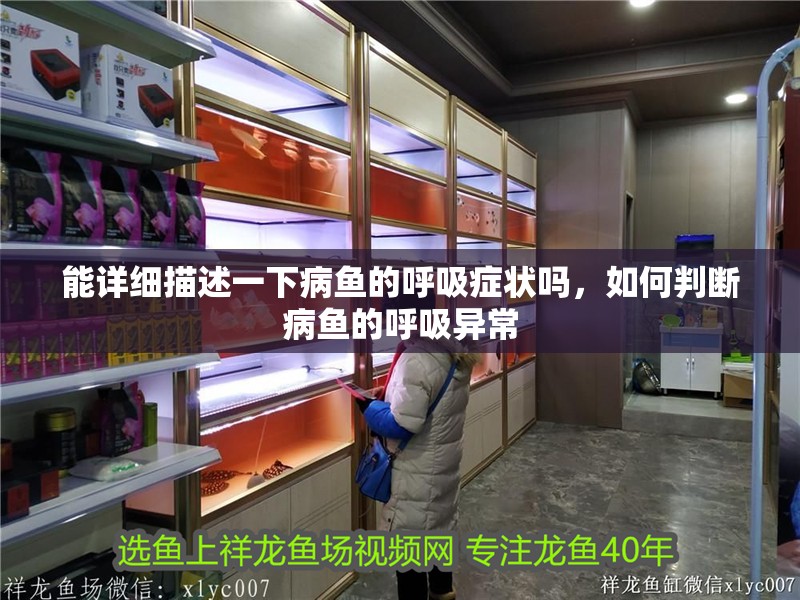 能詳細描述一下病魚的呼吸癥狀嗎，如何判斷病魚的呼吸異常 能詳細描述一下病魚的呼吸癥狀嗎，如何判斷病魚的呼吸異常 龍魚百科