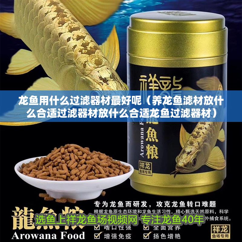 龍魚用什么過濾器材最好呢（養(yǎng)龍魚濾材放什么合適過濾器材放什么合適龍魚過濾器材）