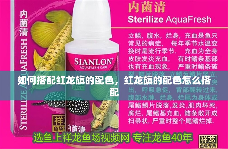 如何搭配紅龍旗的配色，紅龍旗的配色怎么搭配