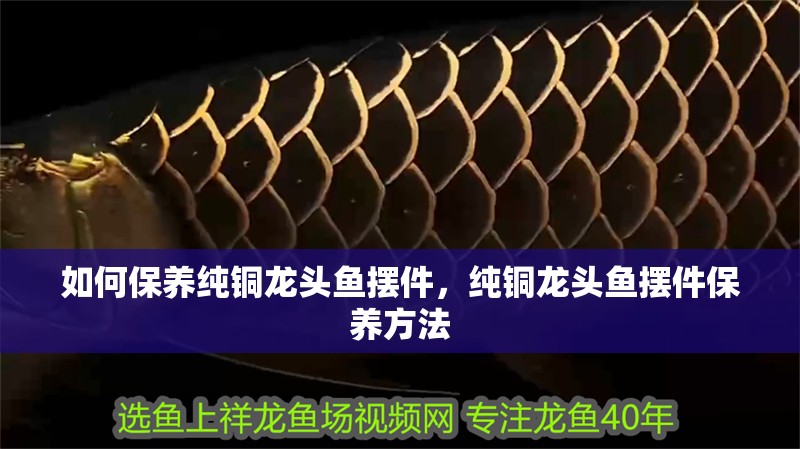 如何保養(yǎng)純銅龍頭魚擺件，純銅龍頭魚擺件保養(yǎng)方法