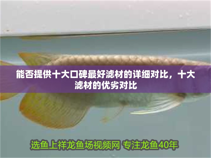 能否提供十大口碑最好濾材的詳細對比，十大濾材的優劣對比