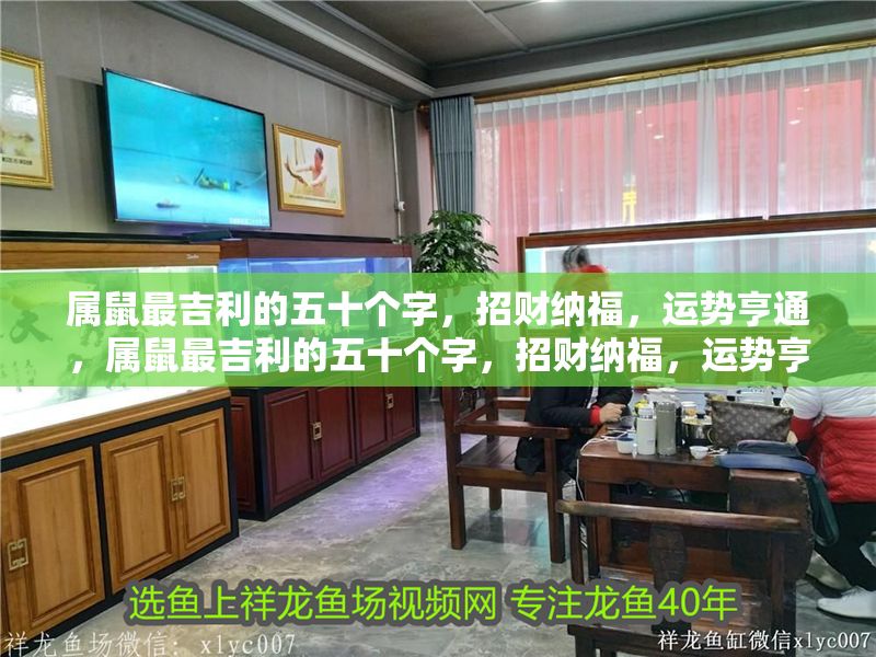 屬鼠最吉利的五十個字，招財納福，運勢亨通，屬鼠最吉利的五十個字，招財納福，運勢亨通！ 屬鼠最吉利的五十個字，招財納福，運勢亨通，屬鼠最吉利的五十個字，招財納福，運勢亨通！ 龍魚百科 第1張