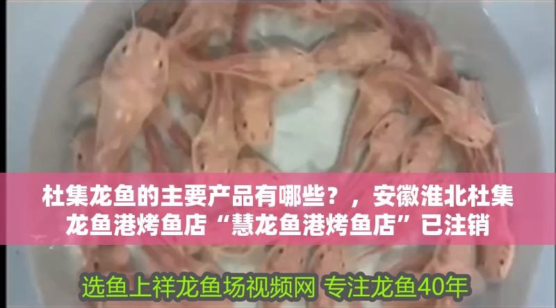 杜集龍魚的主要產品有哪些？，安徽淮北杜集龍魚港烤魚店“慧龍魚港烤魚店”已注銷
