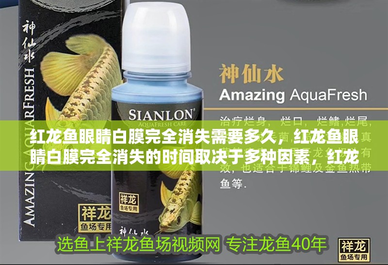 紅龍魚眼睛白膜完全消失需要多久，紅龍魚眼睛白膜完全消失的時間取決于多種因素，紅龍魚蒙眼治療方法