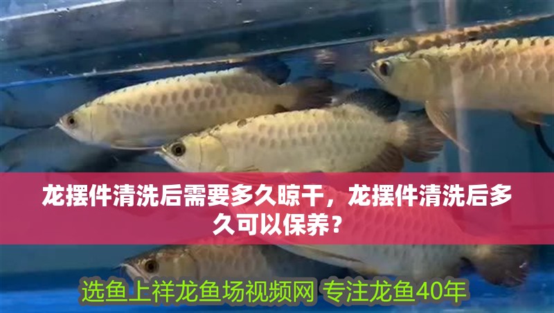 龍擺件清洗后需要多久晾干，龍擺件清洗后多久可以保養？