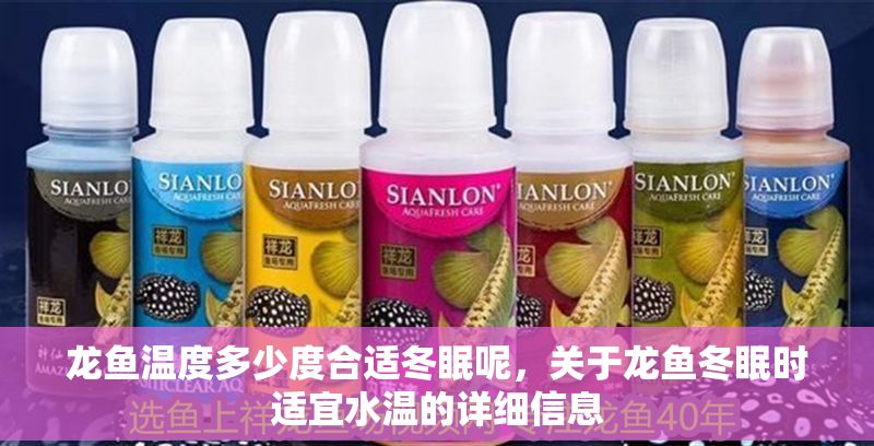 龍魚(yú)溫度多少度合適冬眠呢，關(guān)于龍魚(yú)冬眠時(shí)適宜水溫的詳細(xì)信息