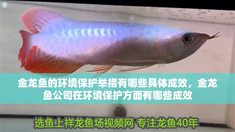 金龍魚的環(huán)境保護舉措有哪些具體成效，金龍魚公司在環(huán)境保護方面有哪些成效