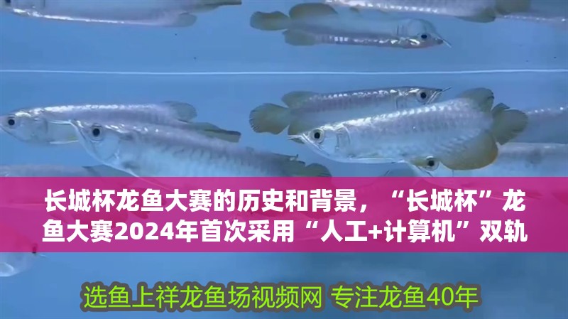 長城杯龍魚大賽的歷史和背景，“長城杯”龍魚大賽2024年首次采用“人工+計算機”雙軌評分系統
