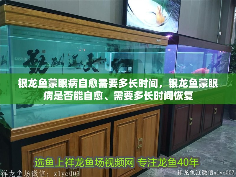 銀龍魚蒙眼病自愈需要多長時間，銀龍魚蒙眼病是否能自愈、需要多長時間恢復