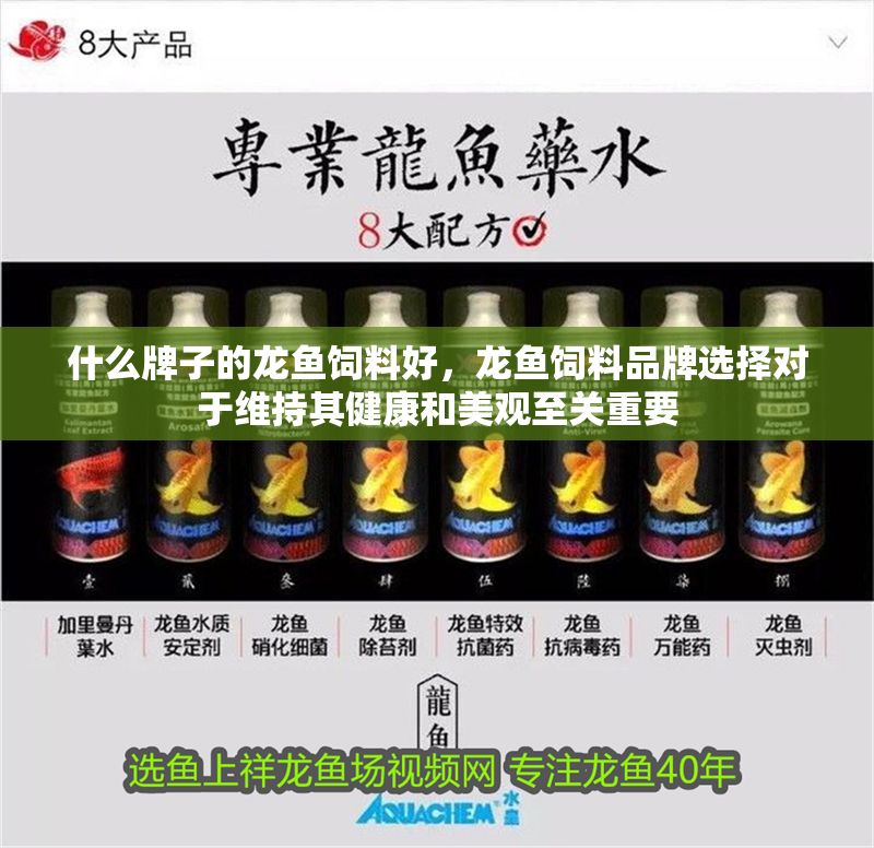 什么牌子的龍魚飼料好，龍魚飼料品牌選擇對于維持其健康和美觀至關重要