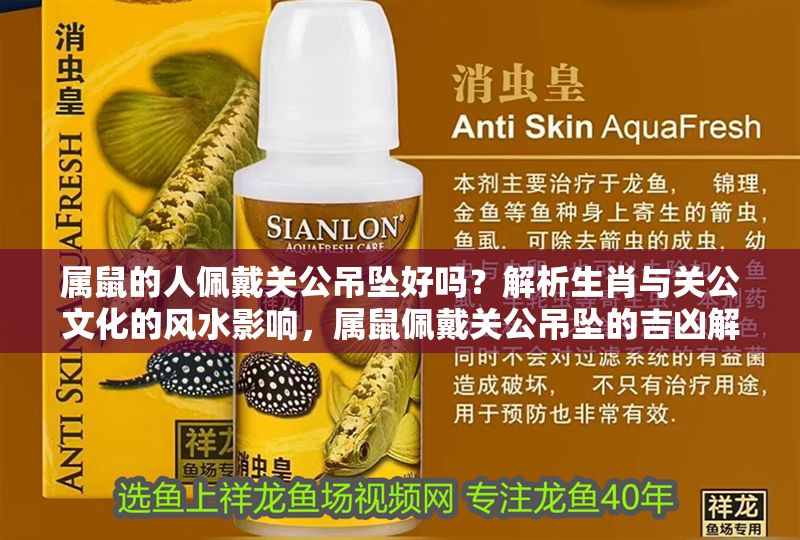 屬鼠的人佩戴關(guān)公吊墜好嗎？解析生肖與關(guān)公文化的風(fēng)水影響，屬鼠佩戴關(guān)公吊墜的吉兇解析，生肖與風(fēng)水禁忌全揭秘 屬鼠的人佩戴關(guān)公吊墜好嗎？解析生肖與關(guān)公文化的風(fēng)水影響，屬鼠佩戴關(guān)公吊墜的吉兇解析，生肖與風(fēng)水禁忌全揭秘 龍魚百科 第1張