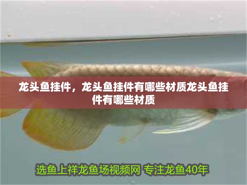 龍頭魚掛件，龍頭魚掛件有哪些材質龍頭魚掛件有哪些材質