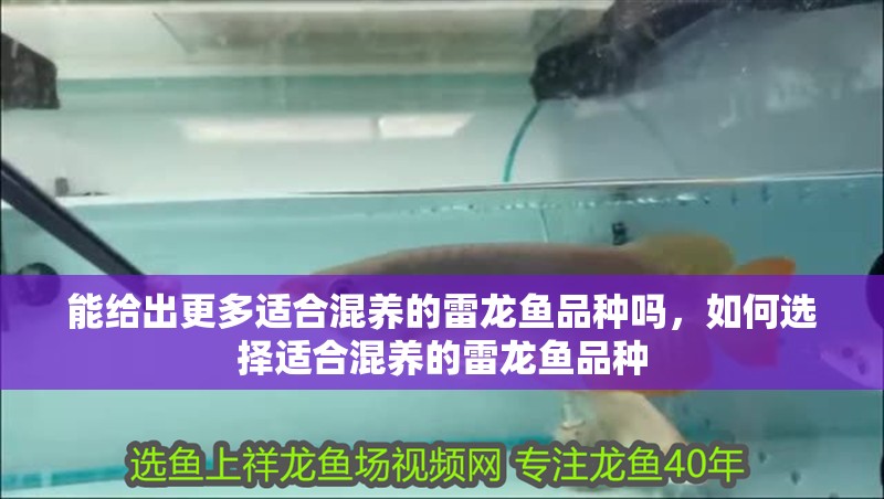 能給出更多適合混養(yǎng)的雷龍魚(yú)品種嗎，如何選擇適合混養(yǎng)的雷龍魚(yú)品種