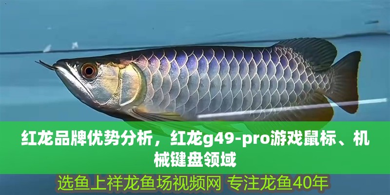 紅龍品牌優勢分析，紅龍g49-pro游戲鼠標、機械鍵盤領域