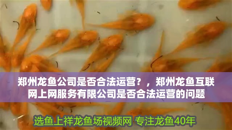 鄭州龍魚公司是否合法運營？，鄭州龍魚互聯網上網服務有限公司是否合法運營的問題
