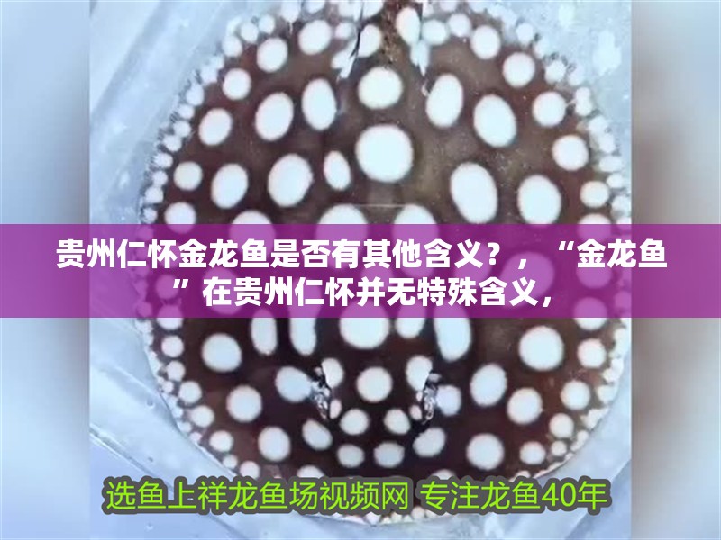 貴州仁懷金龍魚是否有其他含義？，“金龍魚”在貴州仁懷并無特殊含義，