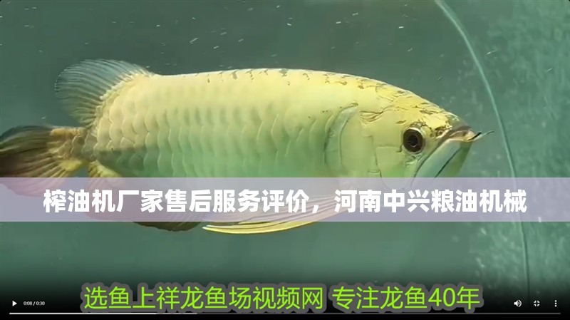 榨油機廠家售后服務評價，河南中興糧油機械