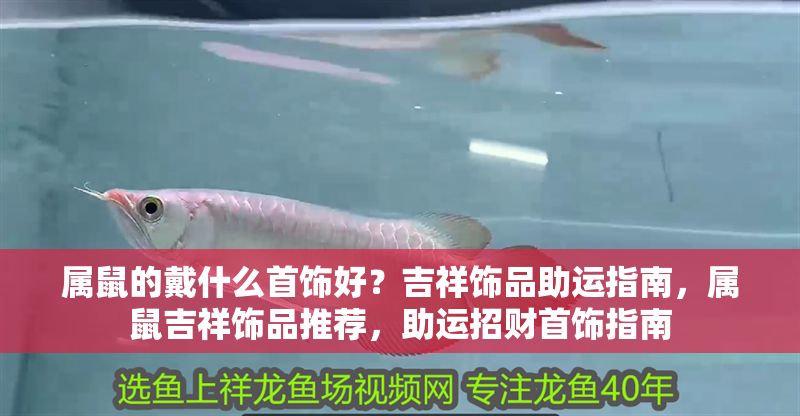 屬鼠的戴什么首飾好？吉祥飾品助運指南，屬鼠吉祥飾品推薦，助運招財首飾指南