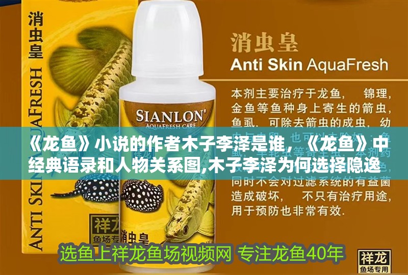 《龍魚》小說的作者木子李澤是誰，《龍魚》中經典語錄和人物關系圖,木子李澤為何選擇隱逸網絡