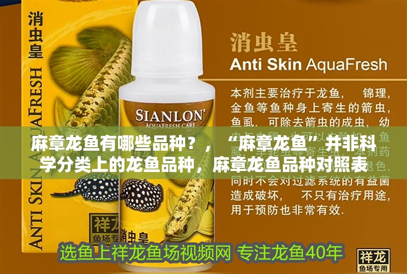 <strong><mark>麻章</mark></strong>龍魚有哪些品種？，“<strong><mark>麻章</mark></strong>龍魚”并非科學分類上的龍魚品種，<strong><mark>麻章</mark></strong>龍魚品種對照表