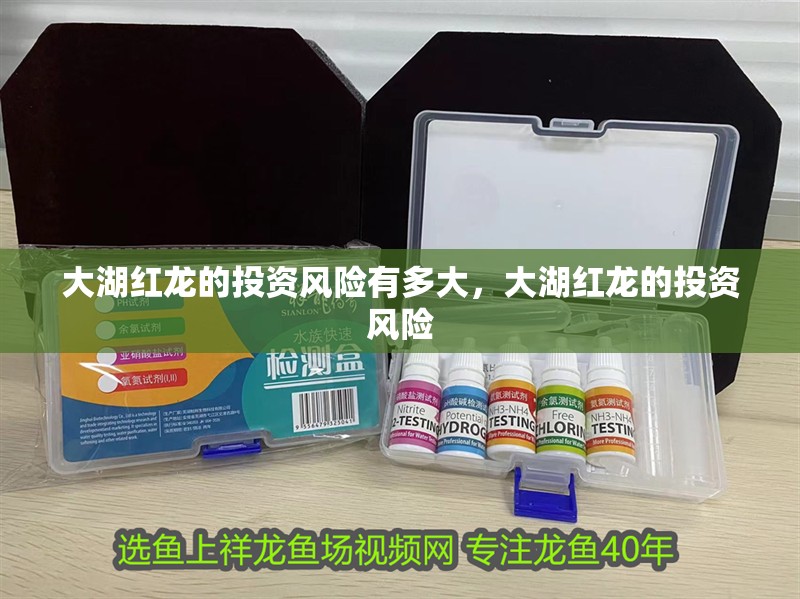 大湖紅龍的投資風險有多大，大湖紅龍的投資風險