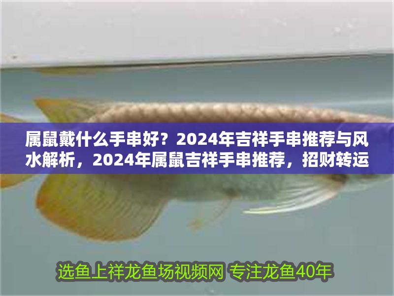 屬鼠戴什么手串好？2024年吉祥手串推薦與風水解析，2024年屬鼠吉祥手串推薦，招財轉運風水指南