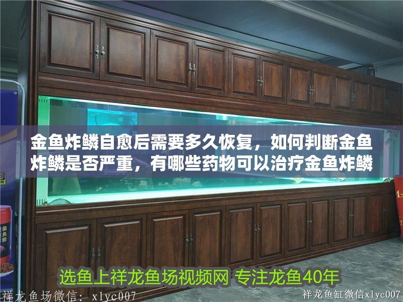 金魚炸鱗自愈后需要多久恢復，如何判斷金魚炸鱗是否嚴重，有哪些藥物可以治療金魚炸鱗