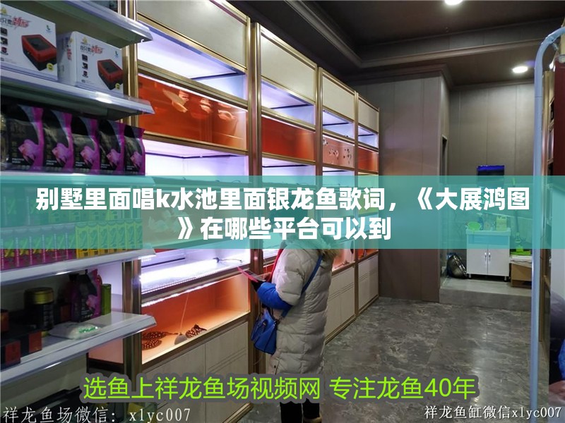 別墅里面唱k水池里面銀龍魚歌詞，《大展鴻圖》在哪些平臺可以到