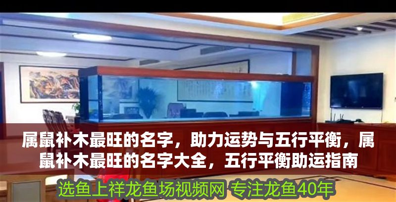 屬鼠補木最旺的名字，助力運勢與五行平衡，屬鼠補木最旺的名字大全，五行平衡助運指南