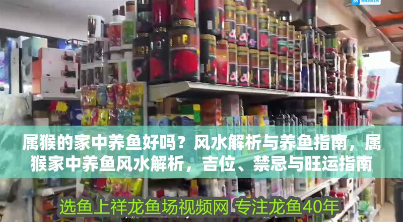 屬猴的家中養魚好嗎？風水解析與養魚指南，屬猴家中養魚風水解析，吉位、禁忌與旺運指南
