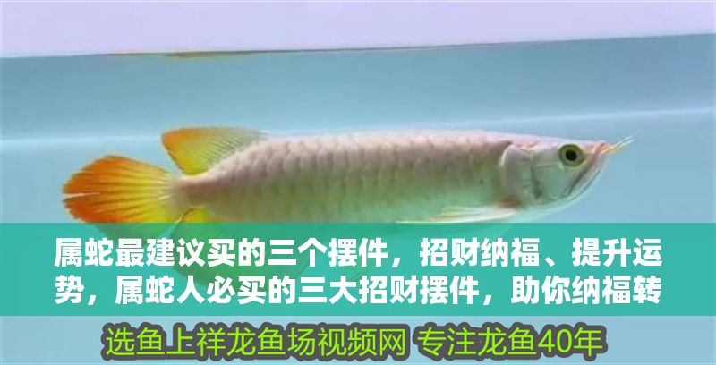 屬蛇最建議買的三個擺件，招財納福、提升運勢，屬蛇人必買的三大招財擺件，助你納福轉運！