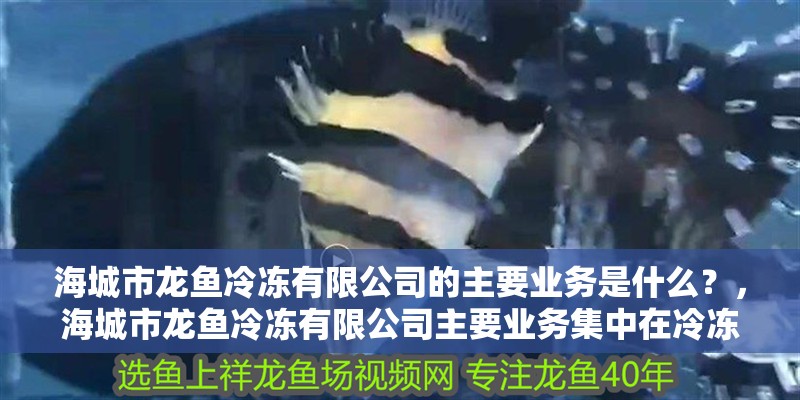 海城市龍魚冷凍有限公司的主要業務是什么？，海城市龍魚冷凍有限公司主要業務集中在冷凍食品儲存及相關設備租賃服務
