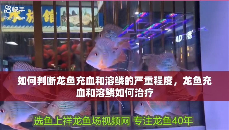 如何判斷龍魚(yú)充血和溶鱗的嚴(yán)重程度，龍魚(yú)充血和溶鱗如何治療