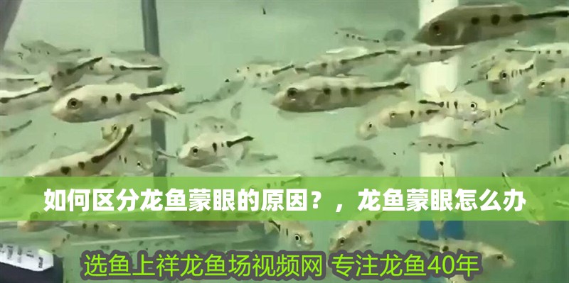 如何區分龍魚蒙眼的原因？，龍魚蒙眼怎么辦