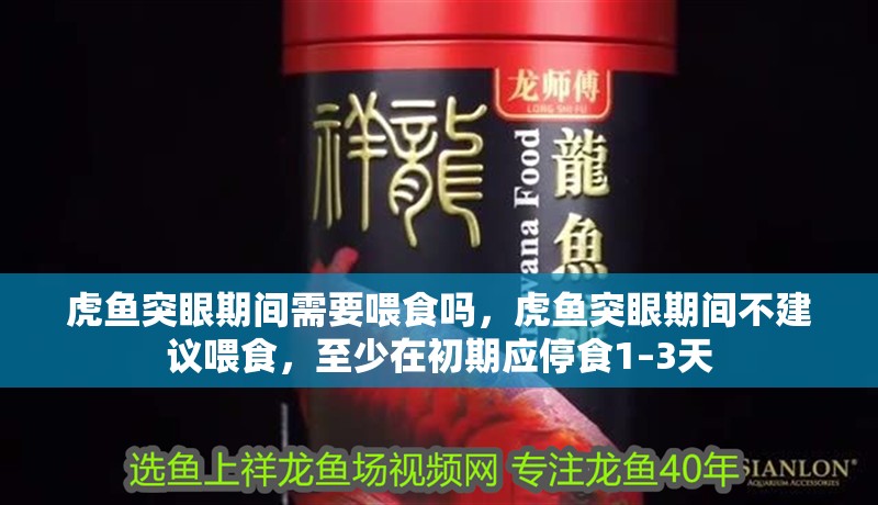 虎魚突眼期間需要喂食嗎，虎魚突眼期間不建議喂食，至少在初期應停食1–3天