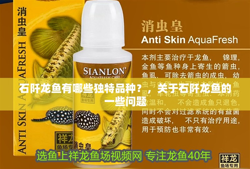 <strong><mark>石阡</mark></strong>龍魚有哪些獨特品種？，關于<strong><mark>石阡</mark></strong>龍魚的一些問題
