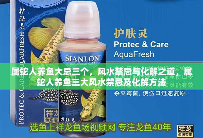 屬蛇人養(yǎng)魚大忌三個，風(fēng)水禁忌與化解之道，屬蛇人養(yǎng)魚三大風(fēng)水禁忌及化解方法